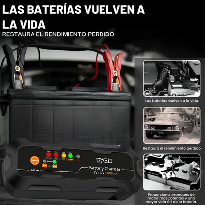 PowerCar 2.0®  Cargador de Bateria